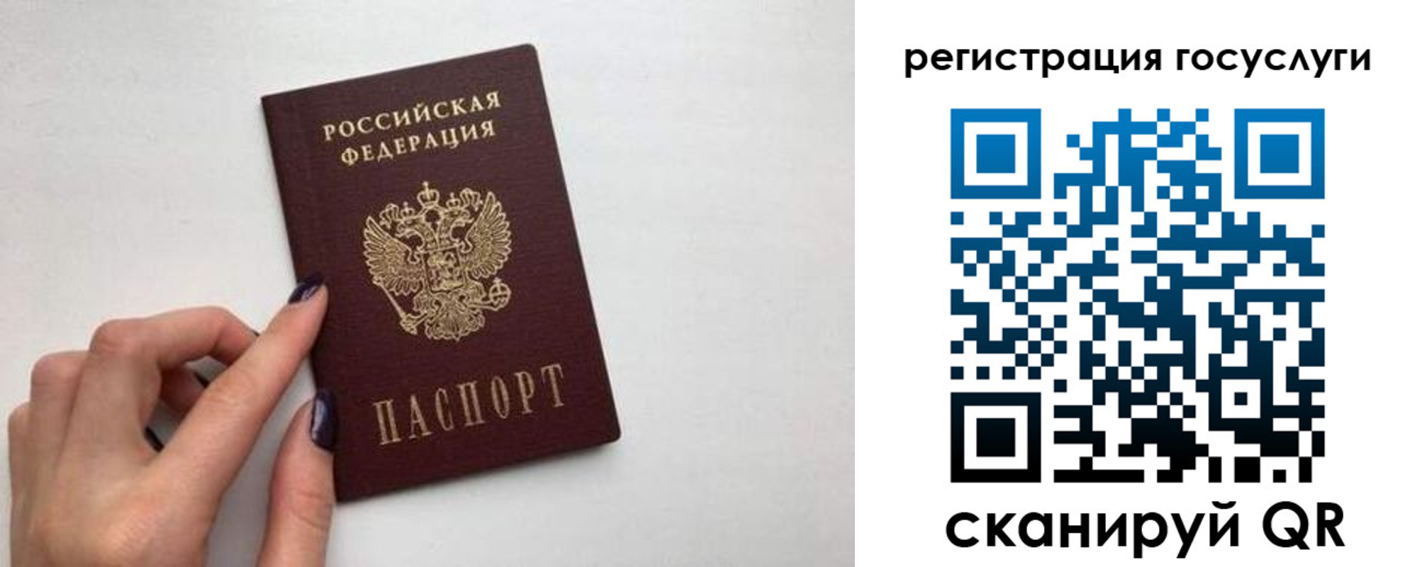 временная регистрация гарантия в Семилуках